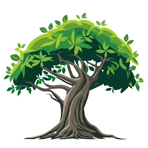semple banyan tree png clipart transparent background   png