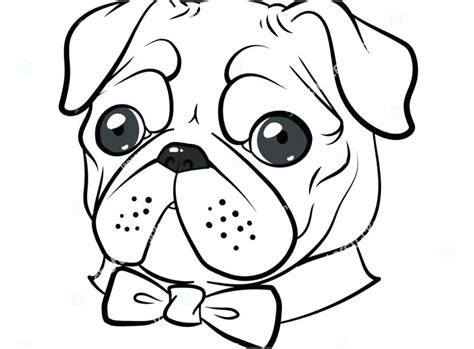 cute pug coloring pages  getcoloringscom  printable colorings