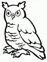 Owl Coloring Pages Kids Birds Animals Label sketch template