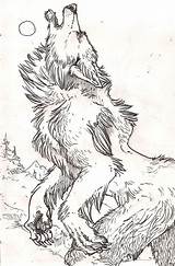 Werewolf Colouring Coloringfolder Werewolves Vampires sketch template
