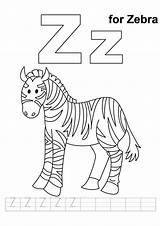 Zebra Coloring Pages Letter Handwriting Color Printable Practice Alphabet Worksheets Sheets Baby Sheet Kids Realistic Zz Bestcoloringpages Clipart Letters Animal sketch template