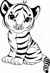 Tiger Coloring Cub Pages Printable Baby Cute Cubs Color Colouring Tigers Choose Board Sheet Animal sketch template