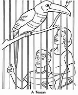 Zookeeper Empty Printables Cage Adults Toucan Everfreecoloring sketch template