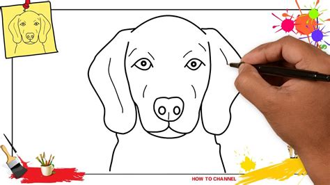 draw  dog face head  easy slowly step  step  kids  beginners youtube