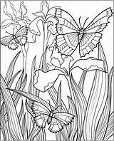Dover Publications Samples Adultos Haven Insect Tsgos Artigo Atividadesparaprofessores Adulte Kleurplaat Borboletas Wings Britto Romero Obras sketch template