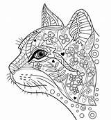Kleurplaten Dieren Volwassenen Katten Mindfulness Printen Animal sketch template