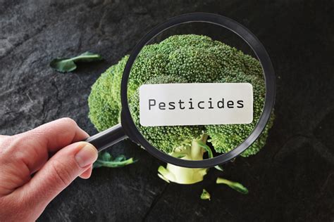 opinion fda pesticide data demonstrate industry commitment  food safety