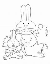 Conejo Zanahoria Conejos Carrots Alimentos Buscando Estés Más Pintarcolorear sketch template
