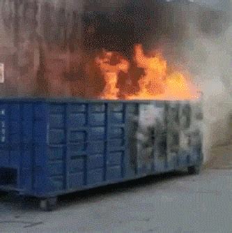 true story    election dumpster fire gif