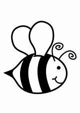 Honigbiene Malvorlage sketch template