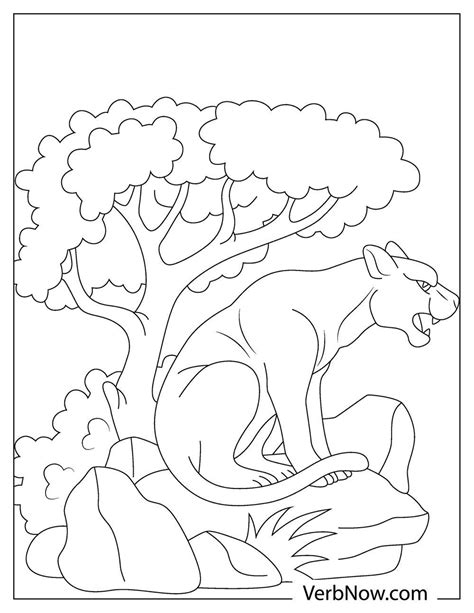 panther coloring pages book   printable  verbnow