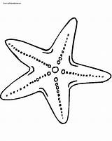 Starfish Coloring Pages Star Fish Cartoon sketch template