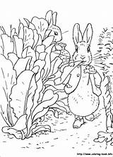 Coloring Rabbit Peter Pages Colouring Color Info Book Print Sheets sketch template