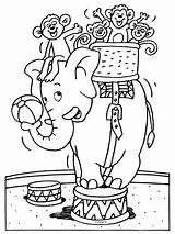 Olifant Kleurplaten Kleurplaat Circusdieren Elefante Bron Titel Bestelcode sketch template