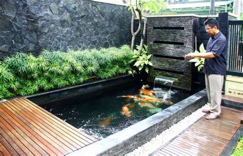 desain kolam ikan minimalis menarik beserta harganya blog qhomemart