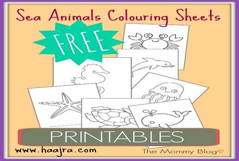 sea animals printable colouring sheets  toddlers preschooler