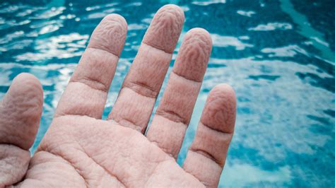 what s really happening when your fingers wrinkle in water