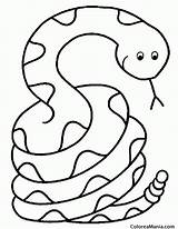 Serpiente Cascabel Coloring sketch template