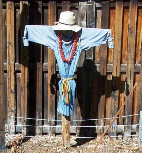 Scarecrows Are A Gardening Tradition Finegardening