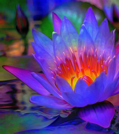 Blue Lotus Painting By Fli Art