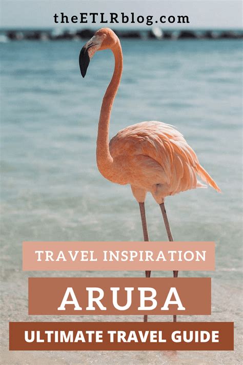 aruba travel guide  day aruba travel itinerary theetlrblog