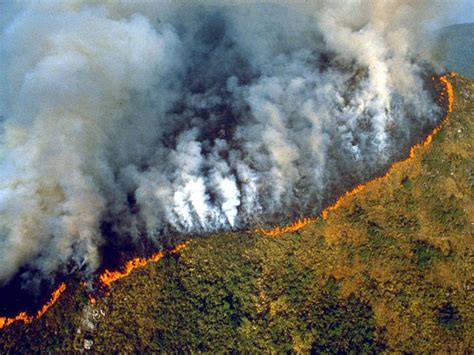 brazil amazon rainforest fire rages   record rate