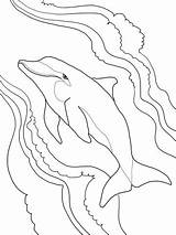Dolphin Bottlenose Coloring Pages Colouring Printable Cute sketch template