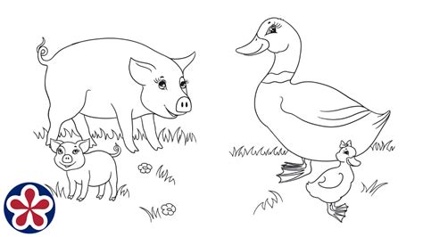 farm animals   babies coloring pages coloring walls