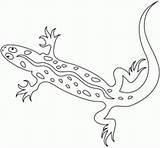 Reptiles Coloring Amphibians Pages Color sketch template