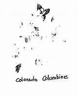 Columbine sketch template