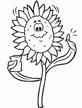 Girasoles Girassol Pintar Coloriage Blumen Fleurs Sunflower Disegno Boyama Animais Colorare Natureza Simone Aulas Neuza Ensinando Aprendendo sketch template
