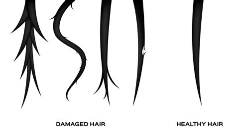6 Types Of Hair Damage Cause Identification And How To