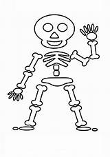 Skeleton Squelette Friendly Skeletons Personnages Preschoolers Coloriages Coloringhome sketch template