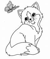 Gato Mariposa Gatos Dibujosonline Categorias sketch template