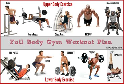 full body gym workout guide  mp  mp issuu
