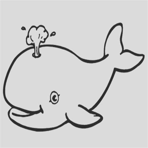 luxury   beluga whale colouring page   whale