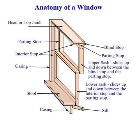 anatomy   window   install replacement windows frame  sash   window