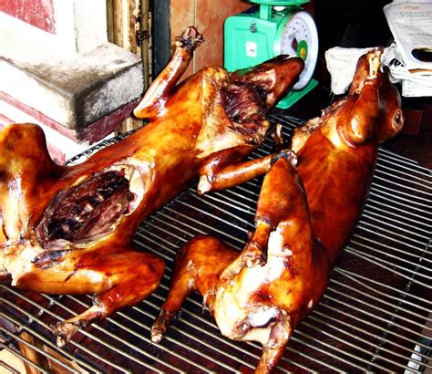 dog meat  hanoi restaurants series   disgusting dishes