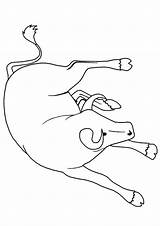 Bull Coloring Pages Animals Aggressive Preschoolers Parentune sketch template