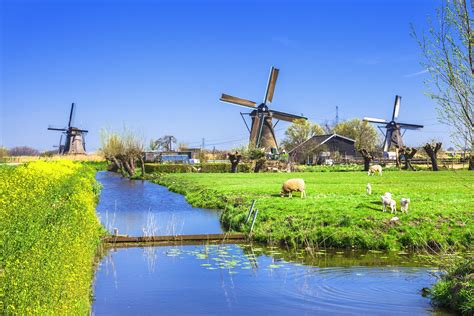 the perfect one week netherlands itinerary — visiting the netherlands