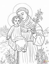 Anthony St Padua Coloring Pages Clipart Printable Timothy Paul Assisi Saint Supercoloring Francis Aquinas Thomas Color Kids Clipground Catholic Visit sketch template