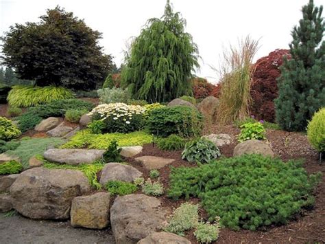 beautiful front yards  backyard evergreen garden design ideas    evergreen
