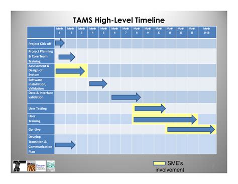 project timeline template project timeline template project timeline