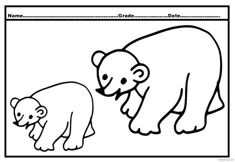 bear coloring pages  kids