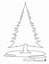 Coloring Tree Fir Pages Pine Trees Sapin Coloriage Imprimer Douglas Printable Drawing Kids Hellokids Designlooter Color Library Clipart Dessin Getdrawings sketch template