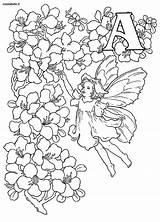 Coloring Fairy Colorare Disegni Fairies Alfabeto Coloratutto sketch template