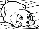 Coloring Pages Rottweiler Para Rug Puppy Colorear Bloodhound Getdrawings Dog Pintar Animal Da Colorir Beagle Print Drawing Ask Getcolorings Imprimir sketch template