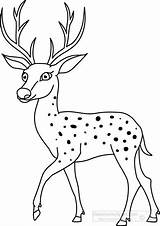 Deer Outline Clipart Animals Drawing Clip Animal Classroomclipart Cliparts Gif Getdrawings Head Library Transparent Members Available Join Medium Large Now sketch template