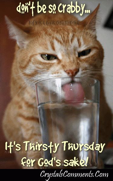thirsty thursday water quotes quotesgram