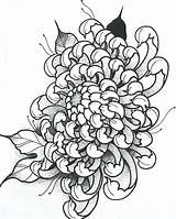 Chrysanthemum Tattoo Drawing Flower Japanese Tattoos Sketch Designs Realistic Flowers Drawings Outline Crisantemo Pencil Getdrawings Hình Xăm Irezumi Japan Paintingvalley sketch template